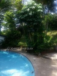 Kingsmead Road (D10), Detached #492828971